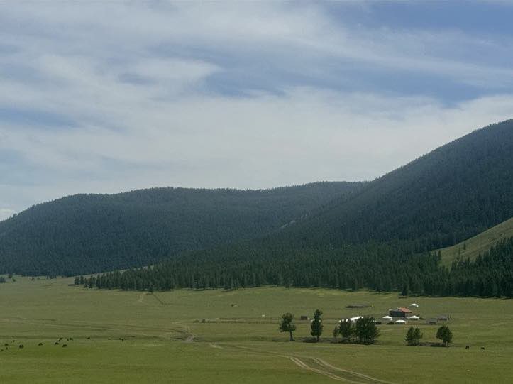 Архангай аймгийн Түвшрүүлэх сумаас ирүүлсэн зураг.Хор цацахын өмнөх болон дараахь зурагнууд.Ой мод маань сэргэхэд жаахан хугацаа орж байгааг зөв ойлгоно уу!Архангай аймгийн 14суманд хийгдсэн байгаа.