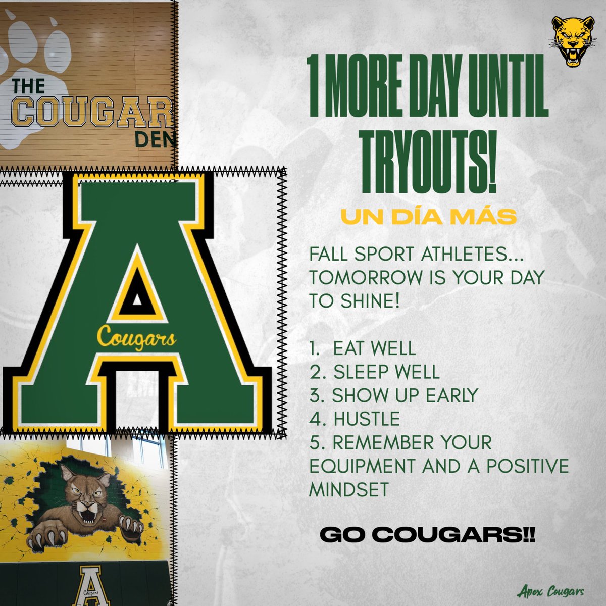 Apex Cougar Club (@apexcougarclub) on Twitter photo 1 more day.... Fall season is within reach! Let's Go Cougars!
<a href="/ApexHighSchool/">Apex High School</a> <a href="/apexhsathletics/">Apex Athletics</a> <a href="/ApexHScheer/">Apex Cheer</a> <a href="/apextrackxc/">Apex Track & XC</a> <a href="/ApexFB/">Apex High School Football</a> <a href="/apexhsgolf/">Apex High Golf</a> <a href="/coachleeapex/">Coach Oglesby</a> <a href="/apexjvsoccer/">Will Tomlinson</a> <a href="/ApexHighTennis/">Apex High Women's & Men's Tennis</a> <a href="/apexvball8/">Apex Volleyball</a> 1 more day.... Fall season is within reach! Let's Go Cougars!
<a href="/ApexHighSchool/">Apex High School</a> <a href="/apexhsathletics/">Apex Athletics</a> <a href="/ApexHScheer/">Apex Cheer</a> <a href="/apextrackxc/">Apex Track & XC</a> <a href="/ApexFB/">Apex High School Football</a> <a href="/apexhsgolf/">Apex High Golf</a> <a href="/coachleeapex/">Coach Oglesby</a> <a href="/apexjvsoccer/">Will Tomlinson</a> <a href="/ApexHighTennis/">Apex High Women's & Men's Tennis</a> <a href="/apexvball8/">Apex Volleyball</a>