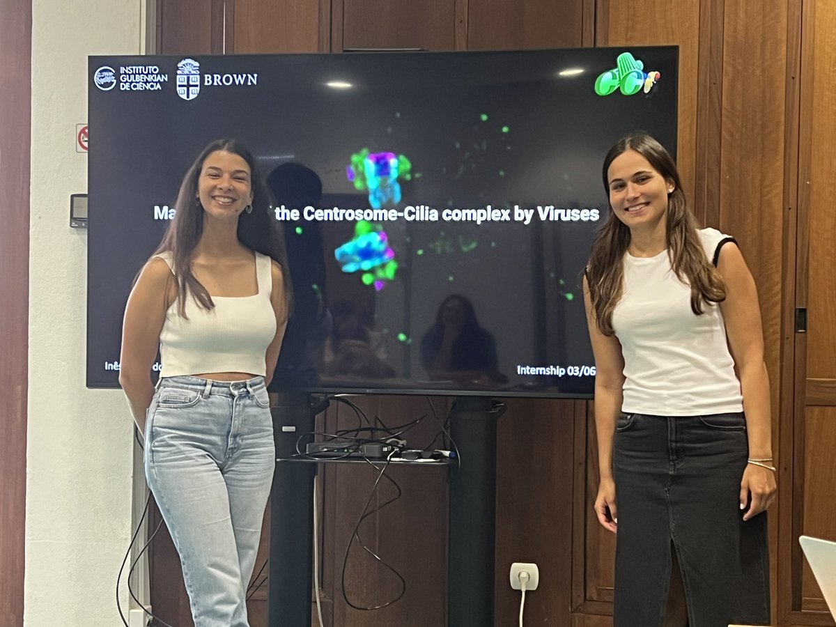 Cell Cycle Regulation Lab (@ccr_lab) on Twitter photo Congratulations Ines Bento <a href="/BrownUniversity/">Brown University</a> for finishing a summer internship in our lab. And <a href="/Camila__Mariano/">Camila</a> for being such a great supervisor!! Was great to have Ines in our lab this summer. Congratulations Ines Bento <a href="/BrownUniversity/">Brown University</a> for finishing a summer internship in our lab. And <a href="/Camila__Mariano/">Camila</a> for being such a great supervisor!! Was great to have Ines in our lab this summer.