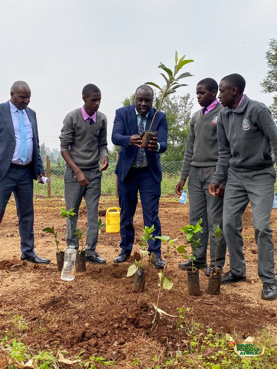 FruitySchools's tweet image. Fruity Schools Africa, with the Ministry of Education and KCDF under YEIC Cohort 1, is launching 100 Little Gardens of Eden in Kiambu County! We&apos;re growing certified fruit trees in 100 schools to improve nutrition and foster environmental stewardship. Huge thanks to KCDF and MOE.