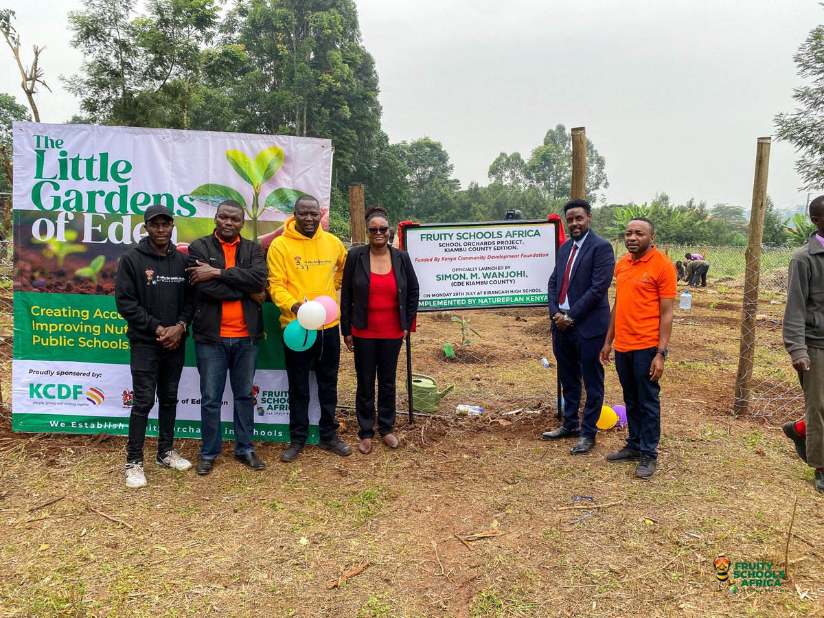 FruitySchools's tweet image. Fruity Schools Africa, with the Ministry of Education and KCDF under YEIC Cohort 1, is launching 100 Little Gardens of Eden in Kiambu County! We&apos;re growing certified fruit trees in 100 schools to improve nutrition and foster environmental stewardship. Huge thanks to KCDF and MOE.