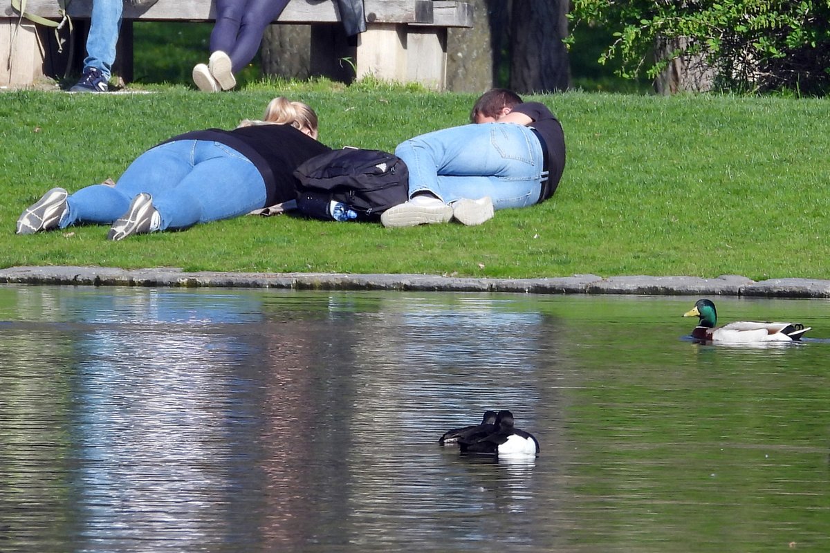 🦜Jak ovlivnila covidová omezení strach ptáků z lidí?  Výzkum vedený Peterem Mikulou, Martinem Bullou a Tomášem Albrechtem ukazuje, jak změny v pohybu lidí ovlivnily únikovou vzdálenost ptáků ve městech. #naturefuture
🔗fzp.czu.cz/cs/r-7185-aktu…