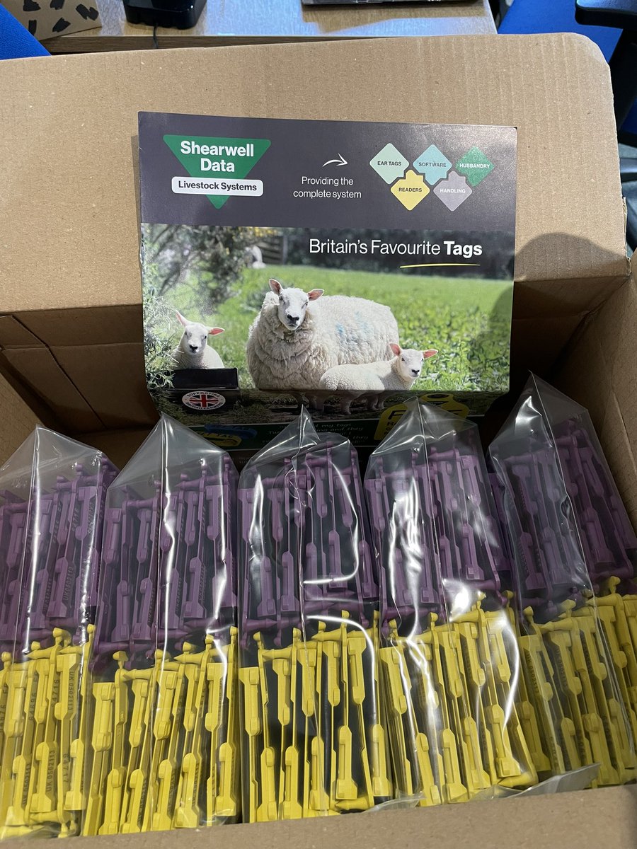 Fearn Farm (@fearnfarm) on Twitter photo Friday evening and we suddenly realise we didn’t have tags for the lambs going to <a href="/BlackIsleShow/">Black Isle Show</a> , poor planning on our part but one text later and <a href="/JaneOrrinside/">Jane Thomson</a> had the wheels in motion, <a href="/Shearwell/">Shearwell Data Ltd</a> tags made and dispatched on Saturday morning and into the lambs this avo! 👏 Friday evening and we suddenly realise we didn’t have tags for the lambs going to <a href="/BlackIsleShow/">Black Isle Show</a> , poor planning on our part but one text later and <a href="/JaneOrrinside/">Jane Thomson</a> had the wheels in motion, <a href="/Shearwell/">Shearwell Data Ltd</a> tags made and dispatched on Saturday morning and into the lambs this avo! 👏