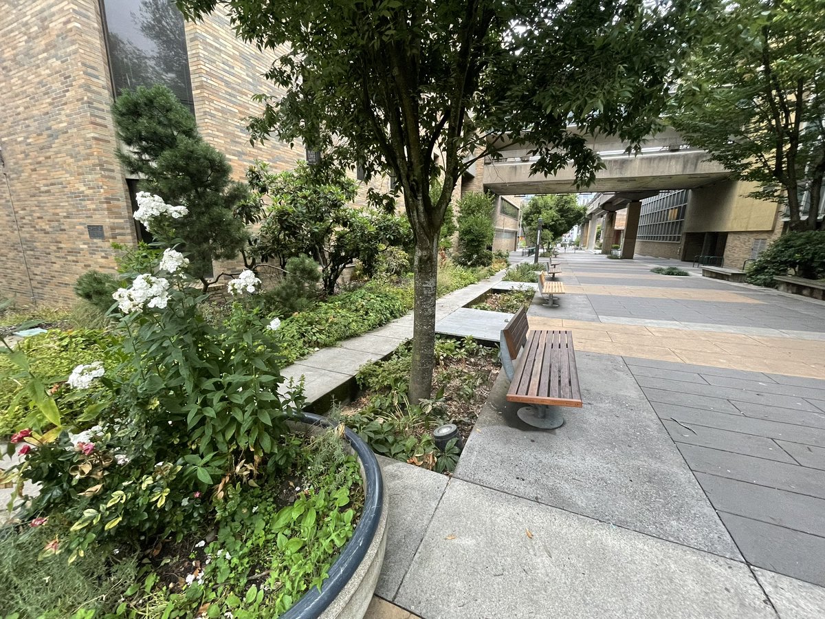 Caleb Mitchell tweet media