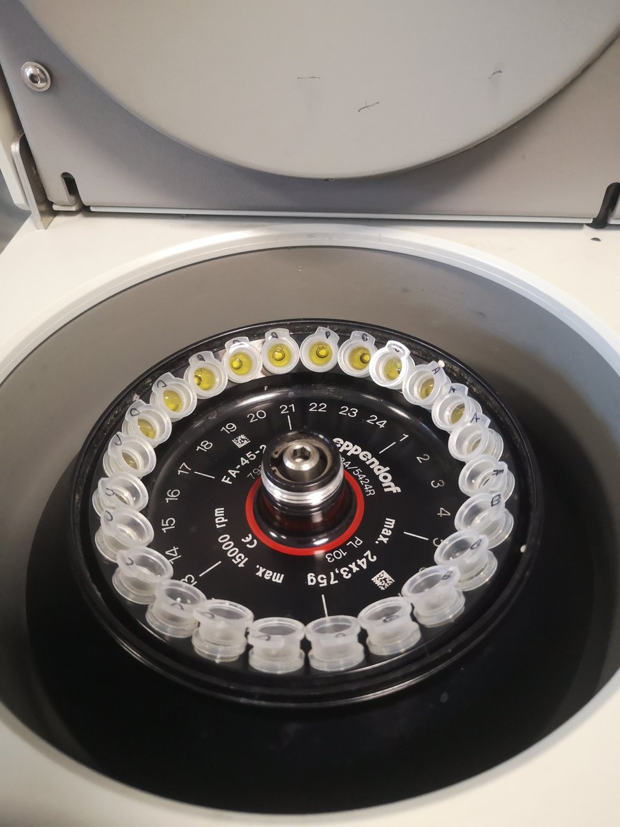 Andrew Bowman tweet media