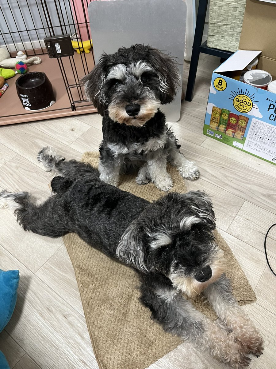 Nrisa1111's tweet photo. 最近の可愛い子ちゃんたち🥴🤍🤍
毎日癒しをありがとう https://t.co/kr6vKP7gzx