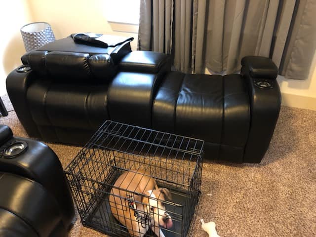 BrownBoxMovers's tweet image. Moving with furry friends? 🐶🐱 Don't let it be a stressful mess! This blog is your paw-some guide to a stress-free move with your pets. We've got tips, tricks, and all the tail-wagging advice you need! #petfriendlymoving #movingwithpets #BrownBoxMovers 🐾
bit.ly/3SvEiFj