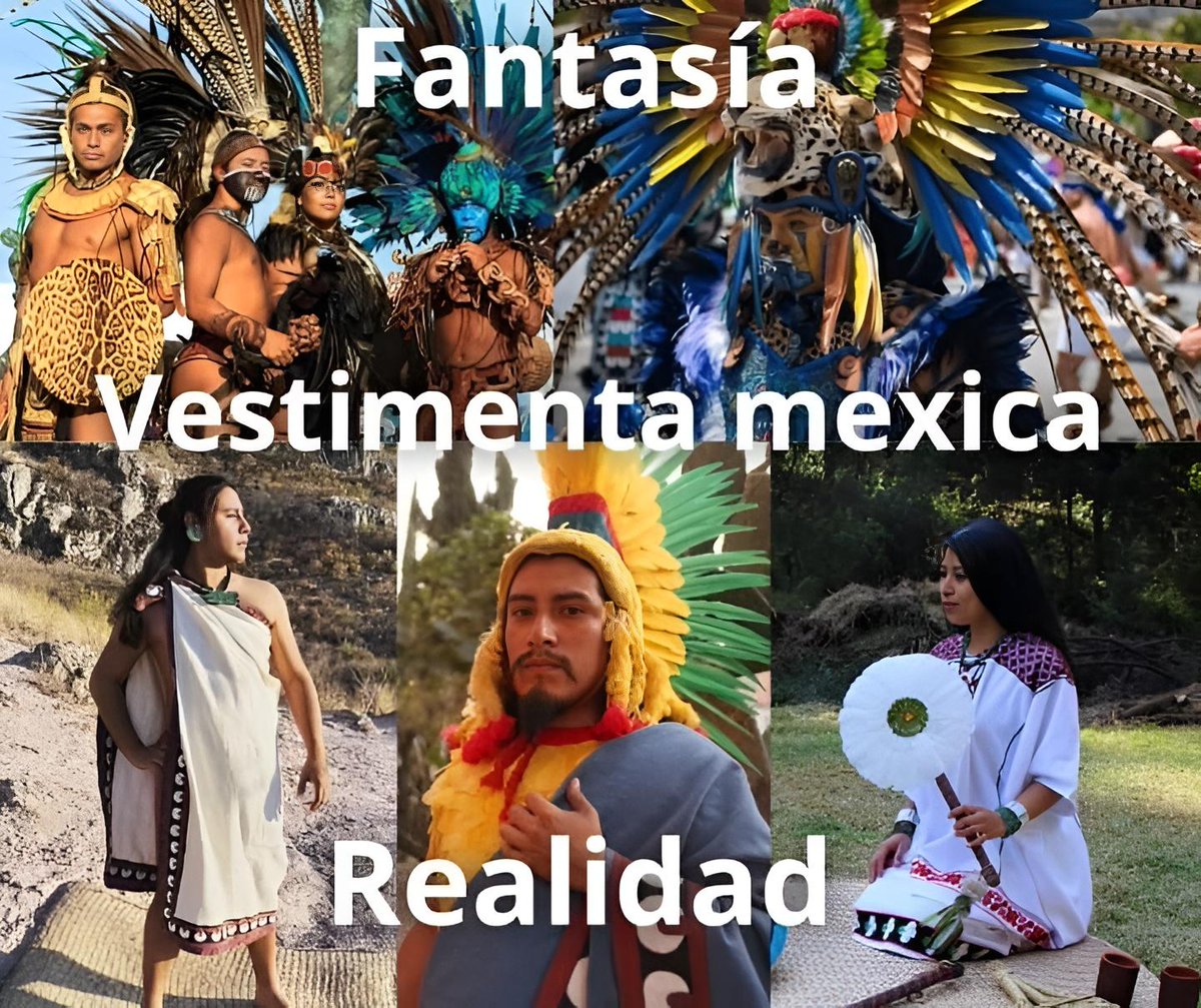 Quetzaltonatiuh tweet media