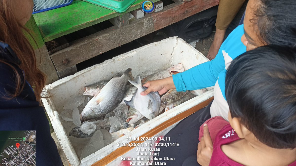 arioam17's tweet photo. Selasa (23/07), Ario Anggara M, Luhkan Tarakan, di POKLAHSAR Nelayan Berkah Setara Kel. Juata Laut melaporkan produksi penjualan ikan segar Kakap Putih 25rb/kg Mujair 15rb/2g Belanak 20rb/3kg Lokal Tarakan
#GiatLuhkanSatminkalBPPPBitung #PusLuh #BPPPBitung #Tarakan #Pengolahan https://t.co/keV9kezyaS