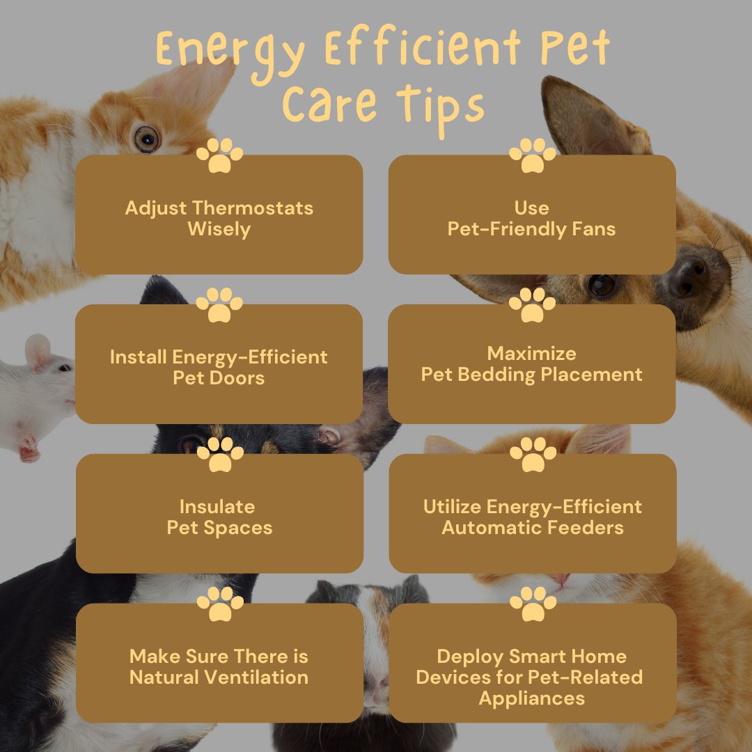 PeeDeeElectric's tweet image. 🐾🏡 This summer make sure to keep your pets comfortable while saving energy! Use these energy-efficient tips to create a cozy and eco-friendly environment for everyone! #PetFriendlyHome #TipTuesday #PeeDeeCares