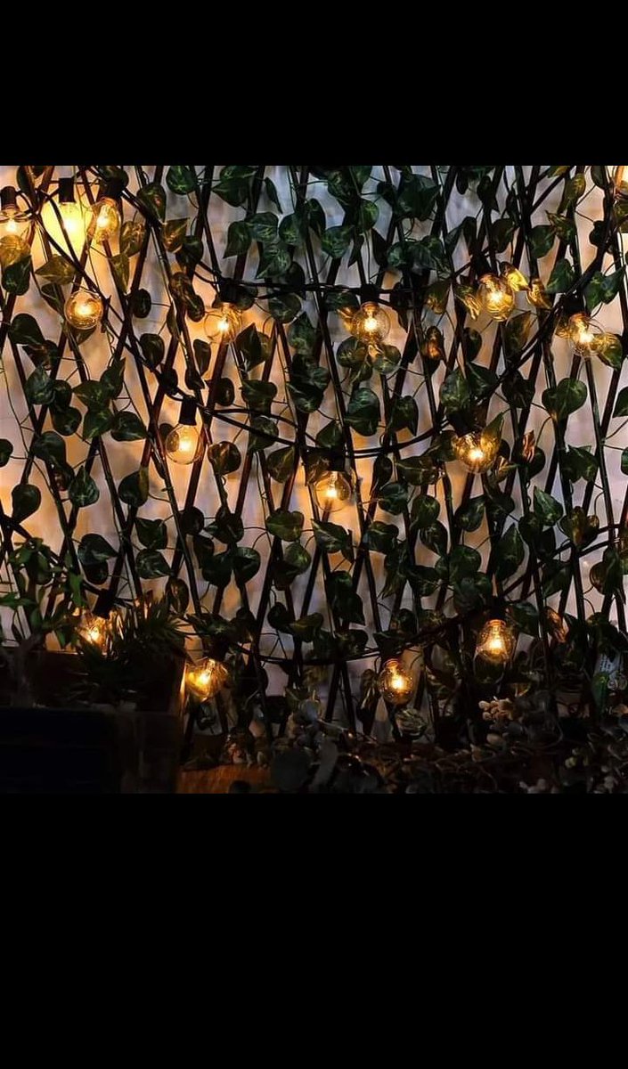 ClasicEquipment's tweet image. 25ft string lights.

Electric - 5,500.
Solar - 9,500.

0721275514
Warm white.
25 bulbs. Replaceable.
Waterproof.

 We do deliveries within Nairobi and send as a parcel Countrywide.

#solarlighting #solarstriplight #solarstringlights #solardecorlights