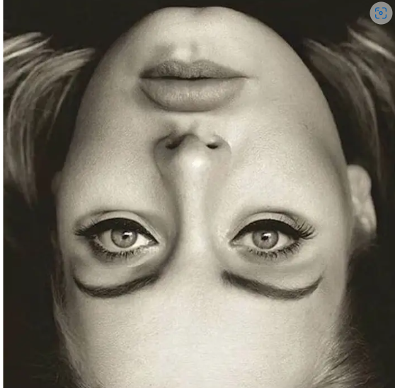 Sean Carpenter tweet media