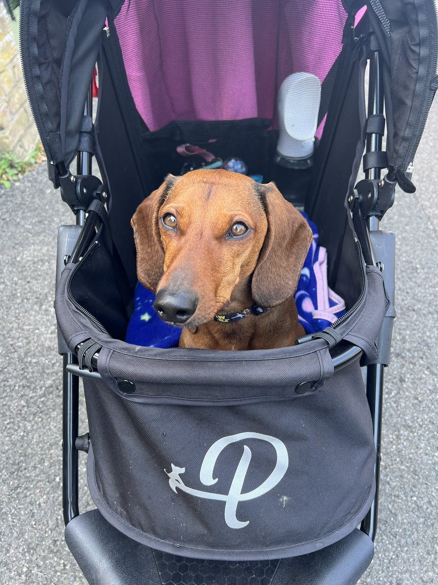 My tiny little sausage boy is 4 today ✨