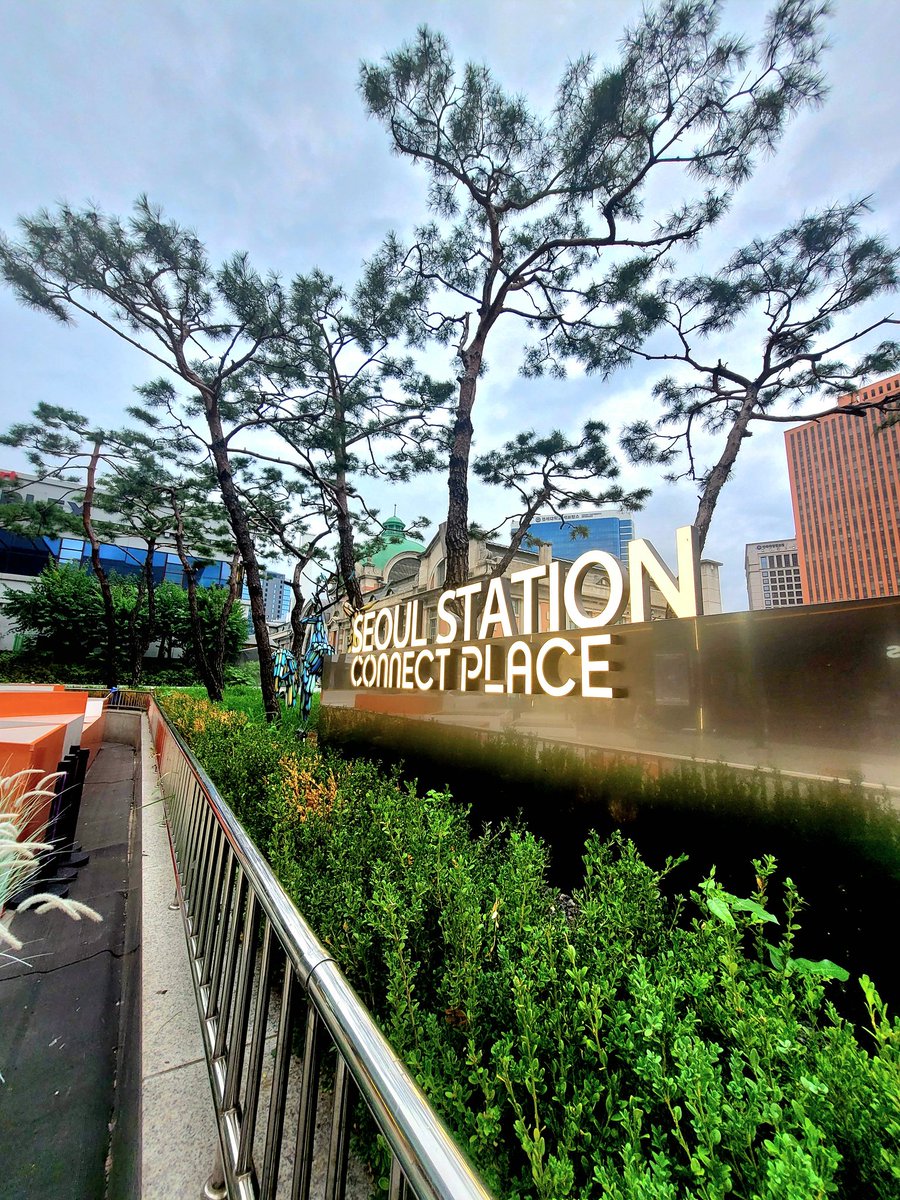 ชิวๆ ที่โซล