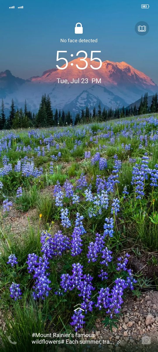 Maxwell (@maxwell662544) on Twitter photo 