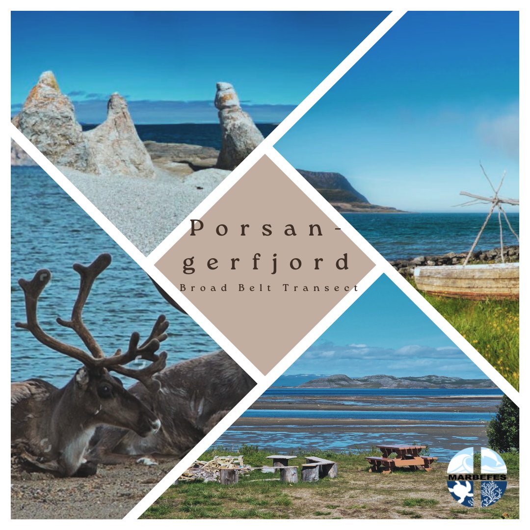 marbefes's tweet photo. Our trip across MARBEFES Broad Belt Transects takes us today to the north of Norway, where the Porsangerfjord BBT is located.

Porsangerfjord has been inhabited by humans for thousands of years – traces of settlements have been found along the coastline since 9000 BCE! https://t.co/djnt89ZUpy