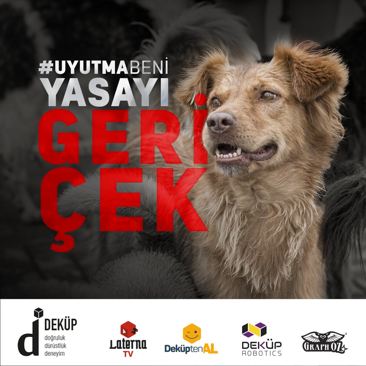 ÖLDÜREN değil, YAŞATAN yasa istiyoruz.
#yasayıgericek #katliamyasasınahayır #katliam #sokaktayımyanındayım #dekup #dekuprobotics #laternatv #graphoz #dekuptenal