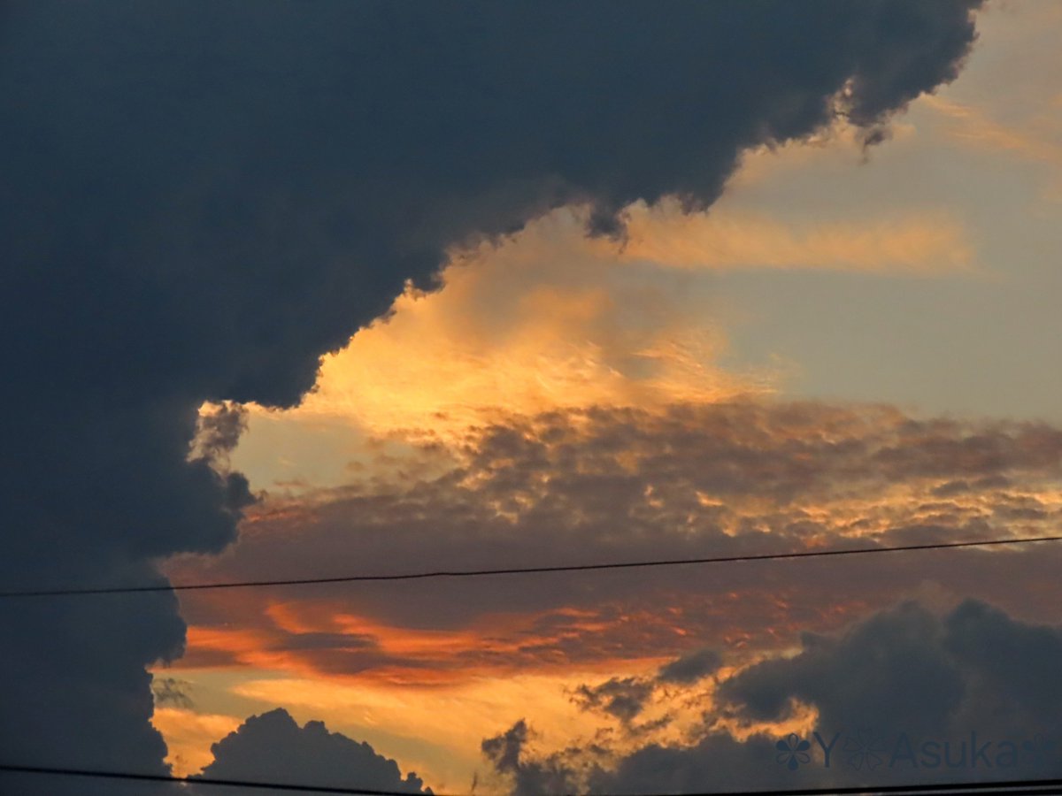 yumeasutw's tweet photo. 黒雲の向こうの夕焼け空🟨🟧🟥
上層の雲がキラキラ黄金色✨
北の空は淡い桃色に🍑
悠々と飛び行く #ダイサギ さん🤍
#夕空 #夕焼け #鉄塔 #電線
#マジックアワー #ゴールデンアワー #薄明 #sunset
#雲 #cloud #空と雲 #雲が好き
#野鳥 #bird
#大鷺 #Great_Egret
#a2024 #a0730 #a202407 #a2024075 https://t.co/AouMONqf9d