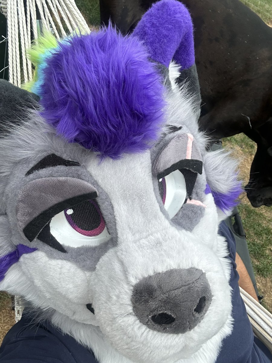 Just hanging around! 

#furry #fursuit #fursuiter