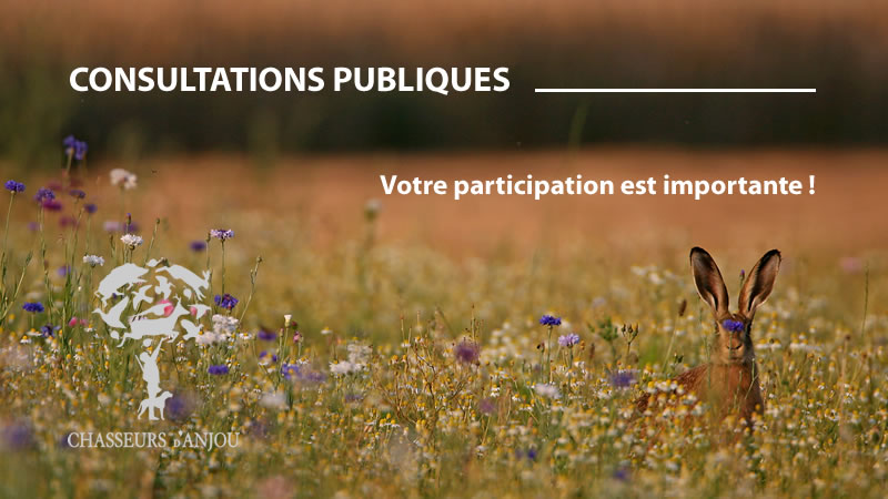 Consultations publiques
Des avenants au SDGC sont proposés afin de prendre en considérations certaines évolutions réglementaires récentes. Ce projet a reçu un avis favorable de la CDCFS  et vous disposez jusqu'au 4 août 2024 pour vous exprimer. Dossier sur chasse49.fr