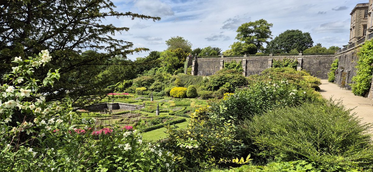 Teddertiger tweet media