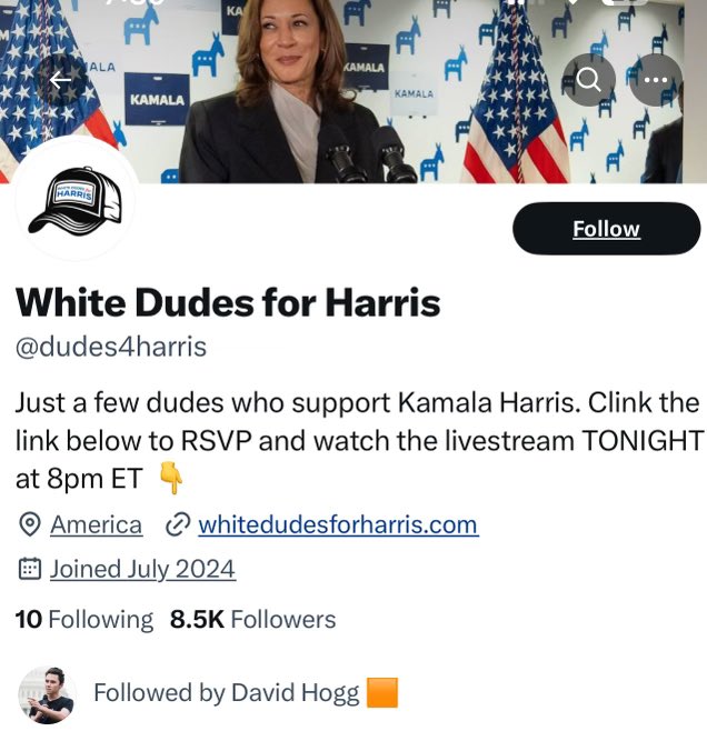 White Dudes For Harris Top Organizer Mike Nellis Is CEO Of Authentic Campaigns, A Firm Owned By Judge Merchan’s Daughter Loren