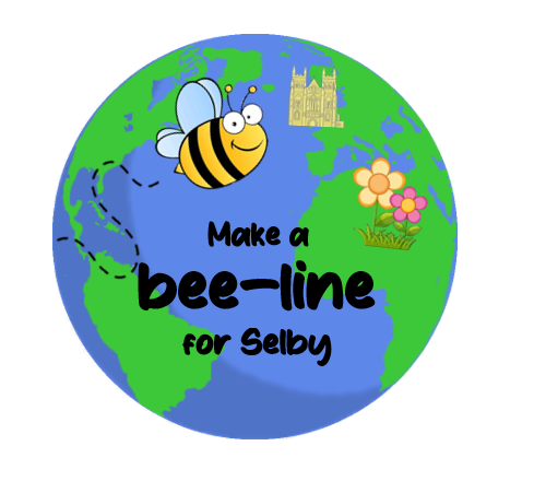 Join us to see how we are tacking the biodiversity crisis.  At Selby Cemetery on Tuesday 6 August - 10.30am to 2.30pm selbytowncouncil.gov.uk/updates/nature…