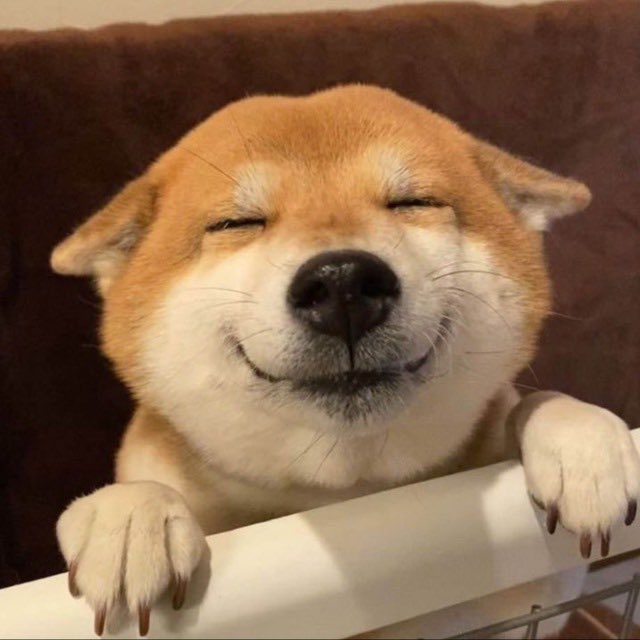 Sultan Fawaz tweet media