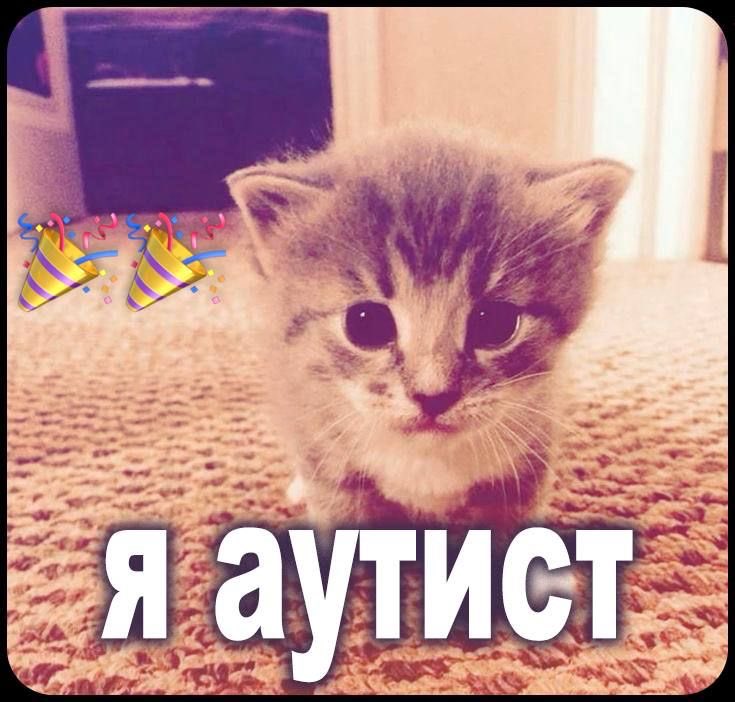 КАК ЖЕ МЫ ЖЛСКО ПРОТУПИЛИ