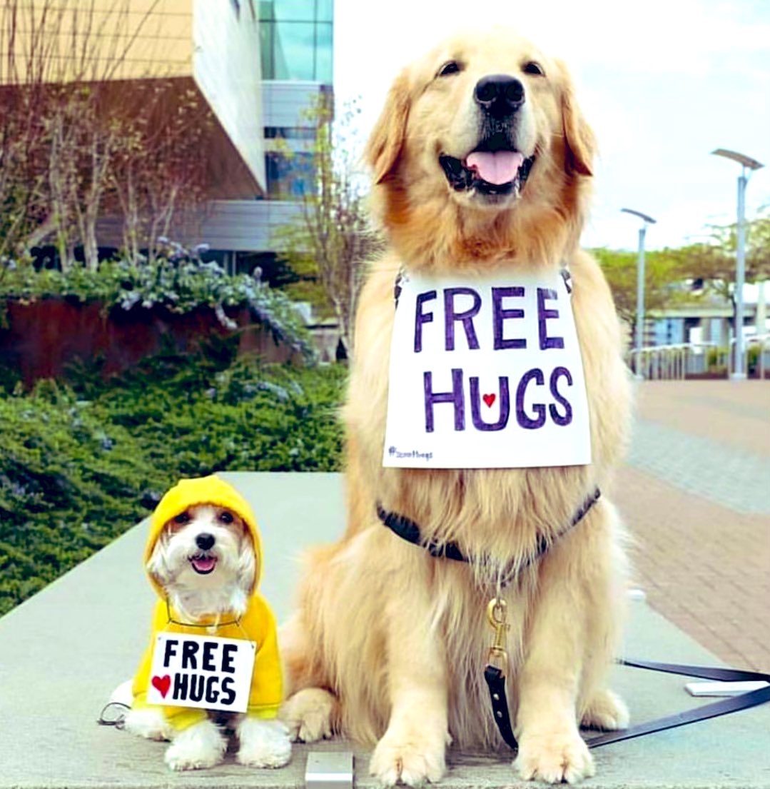 I’ll take a dozen. Of each.