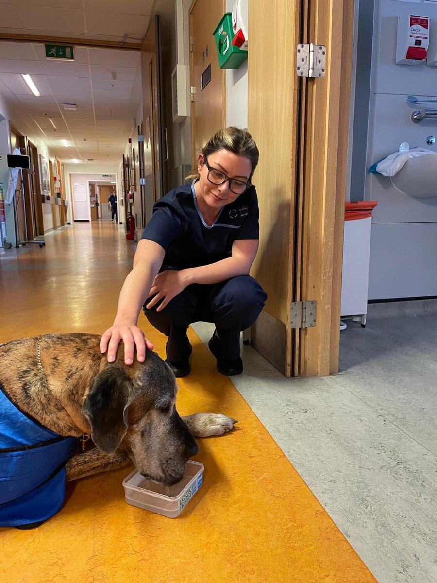 Intensive Care Unit Prince Charles Hospital tweet media