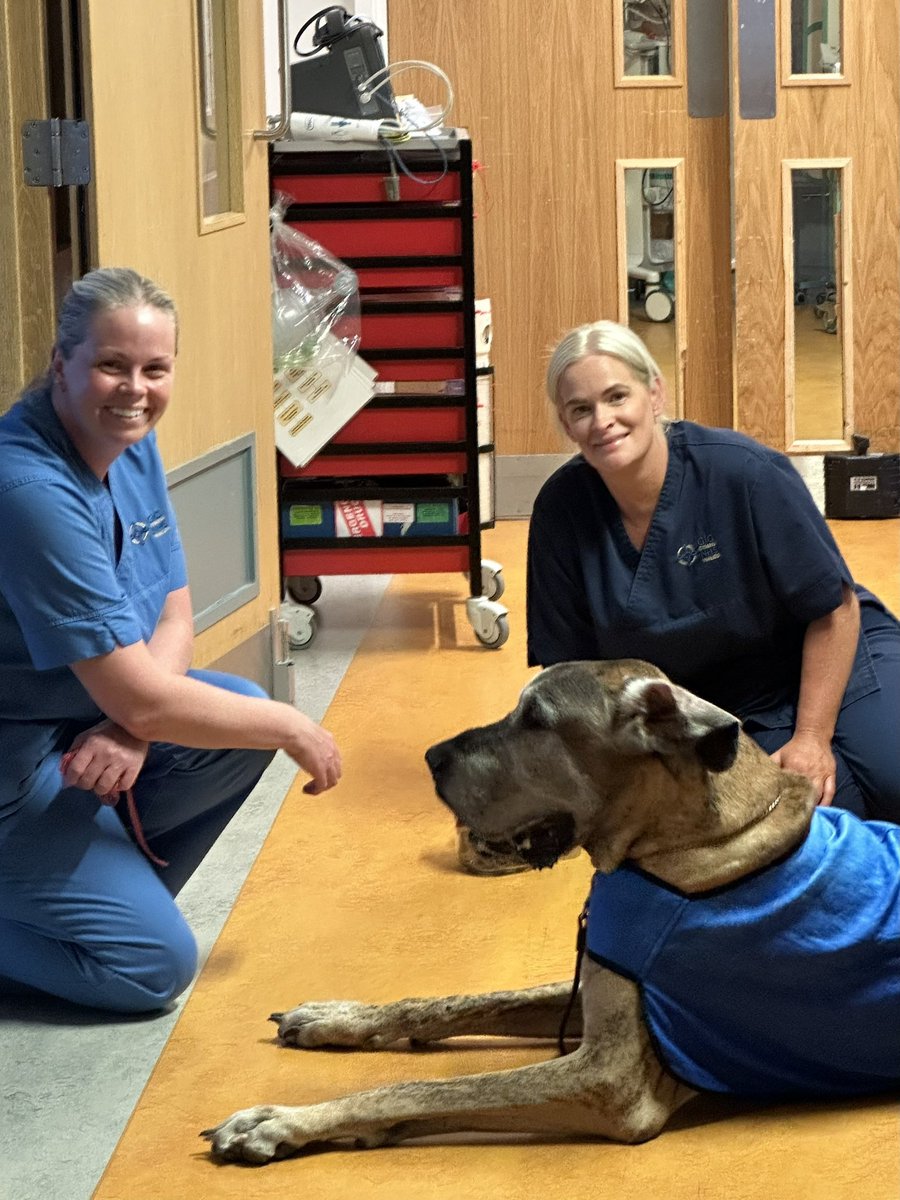 Intensive Care Unit Prince Charles Hospital tweet media