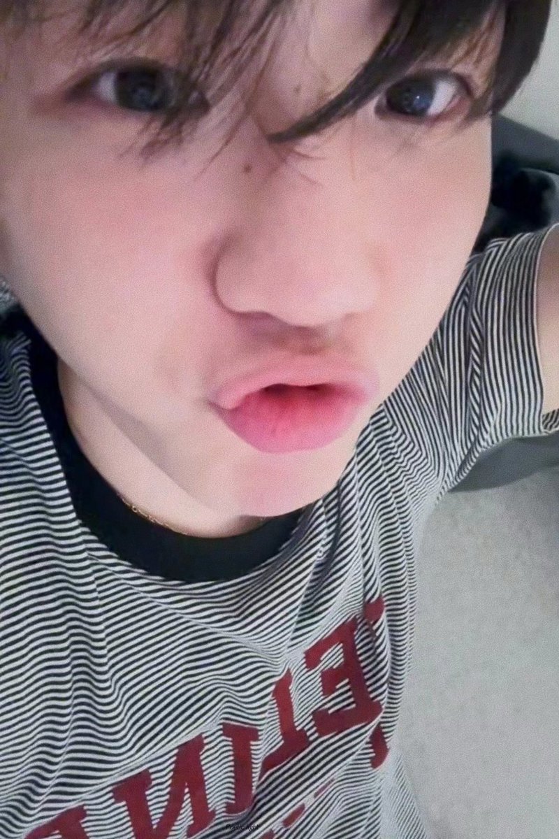 달이 tweet media