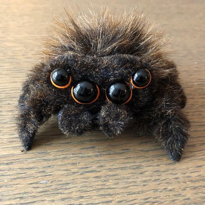 daumenxyz's tweet image. this will sound silly BUT

can these 3 tickers make me 1 million US dollars?