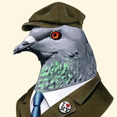 daumenxyz's tweet image. this will sound silly BUT

can these 3 tickers make me 1 million US dollars?