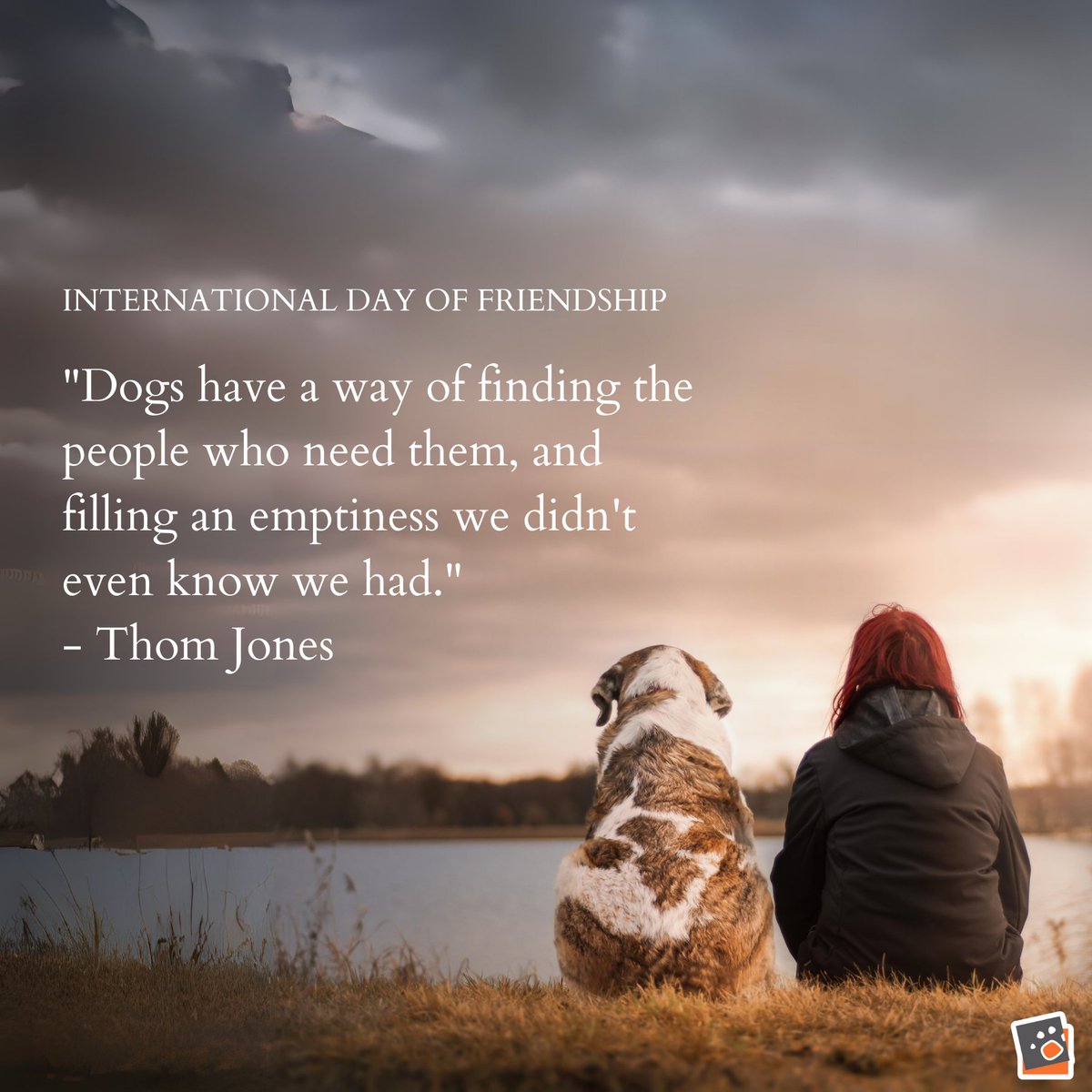 On this #InternationalDayOfFriendship, let's cherish the incredible way dogs find a place in our hearts and lives, filling voids we never knew existed. Here's to our four-legged friends, who complete us! #DogsAreFamily #FriendshipDay