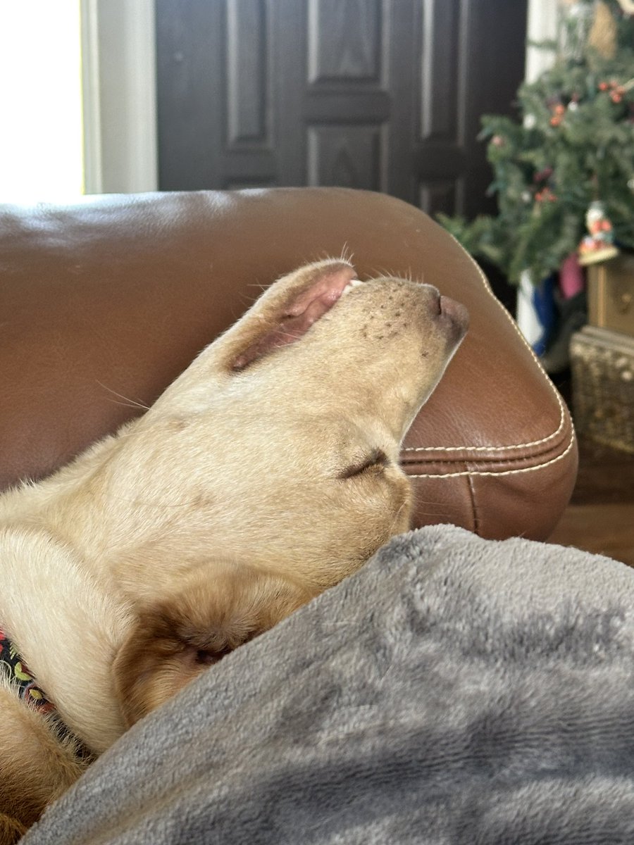 Colleen O'Neil tweet media