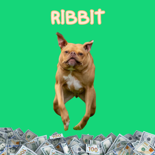 FrogDogOnSol's tweet photo. Believe in the $FOG

Believe in the FROG DOG

https://t.co/m8usgqrZdm https://t.co/TOWdhef1Hb