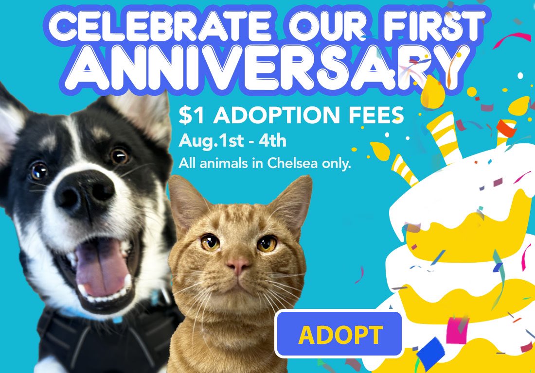 Mark your calendars! We’re celebrating one year in our new Chelsea home and offering $1 adoptions on all dogs and cats at our Chelsea location so you can celebrate right along with us! Offer valid 8/1 - 8/4 !