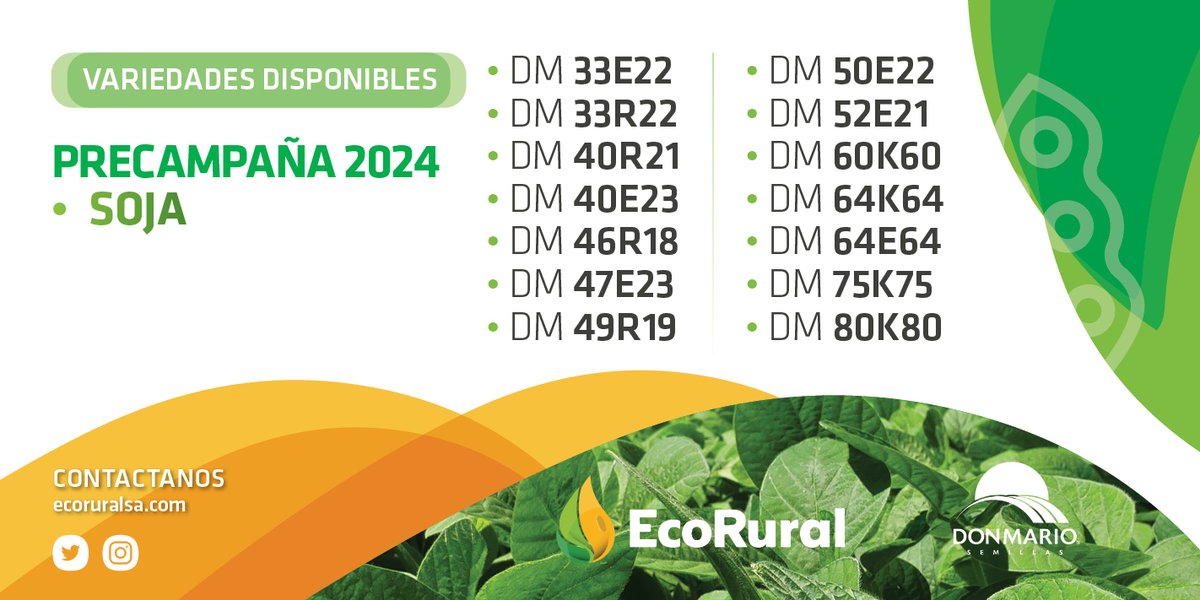 👉 ¡Ya podés consultar las variedades de soja de <a href="/DONMARIOoficial/">DONMARIO Semillas</a> disponibles para la precampaña 2024! Ingresá a nuestra web o contactanos.

Para más información: +54 236 457-5965 📱

#EcoRural #Soja #DonMario #Semillas
