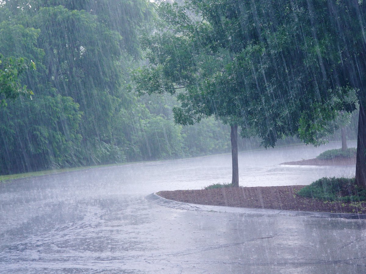 Deanna Rose Children's Farmstead tweet media