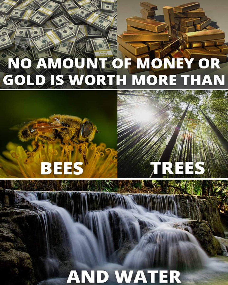 truthlovingdr's tweet image. I'd love to hear from #Kennedy24 , #trump, and #kamala supporters about what your candidate has accomplished in their professional or political life (not what they say they are going to do) that is important to you. 

Talk is cheap and actions absolutely speak louder than words.