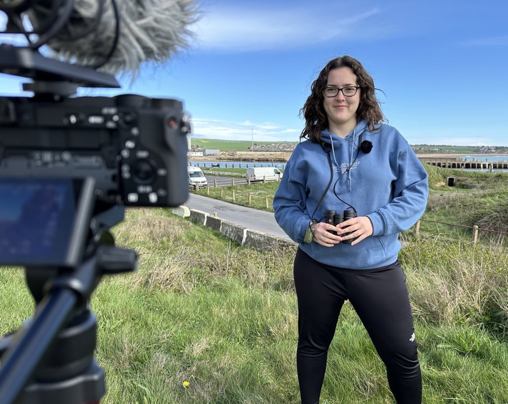 Looking for flexible, part-time work either remote or down here in Dorset. Starting end of September, to work around my uni schedule.📍

Happy to chat and send over my CV 😊

Any shares much appreciated!!