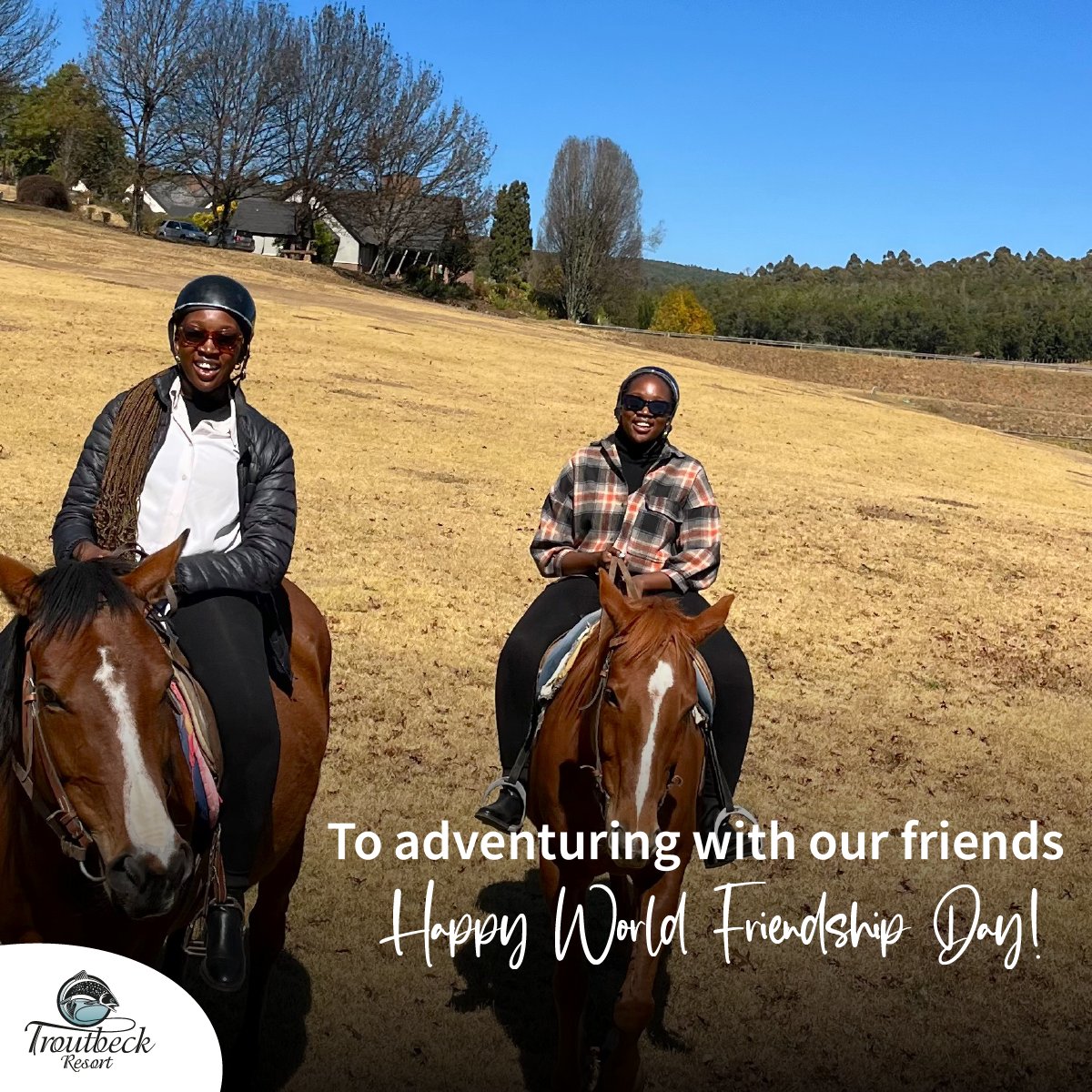 troutbeckresort's tweet photo. Friends who travel together create bonds that last forever. Today, we celebrate the joy of exploring the world with our cherished companions and the special memories we've made!
#TroutbeckResort #ExperienceExploreEnjoy #Nyanga #VisitZimbabwe #ProudlyAfricanSun https://t.co/5fwbklB7E5