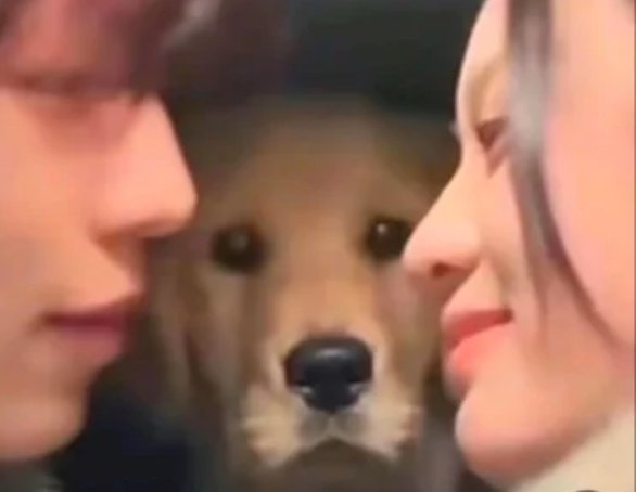 #DeadPlate
你们不会背着我在谈了吧.jpg
梗源p2（x