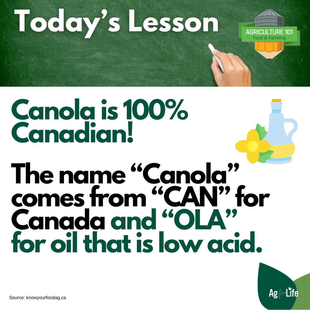 #funfacts Canola is a member of the Brassica family of plants. Broccoli, Brussels sprouts, cabbage, wasabi and many others are also members of this genus. #ageducation