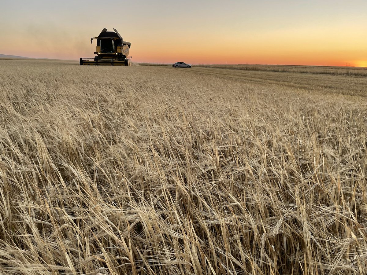 İyi akşamlar sevgili dinleyenler.Burası kaybedenler kulübü.