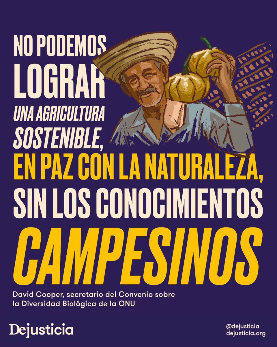 Dejusticia tweet media