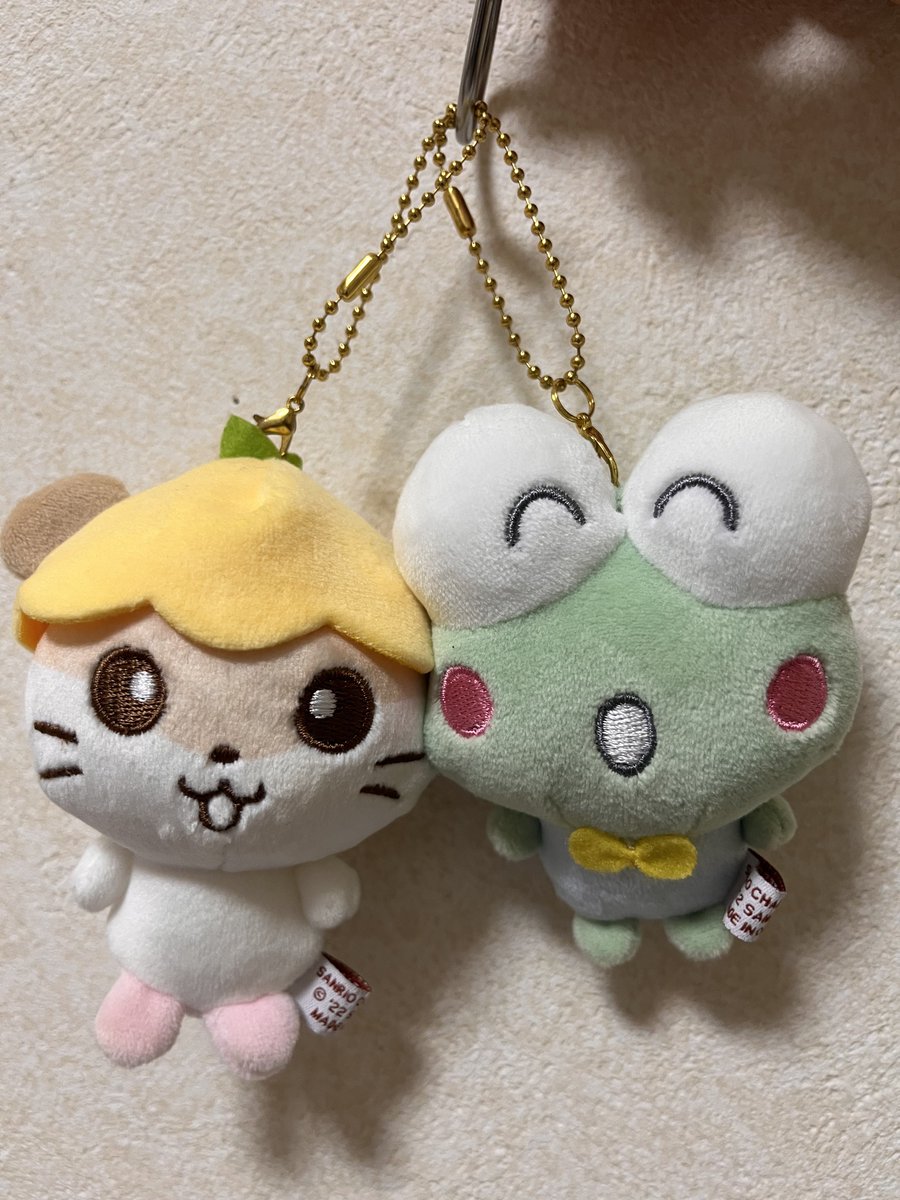 要はこういうことですね、、本日のソンタロ