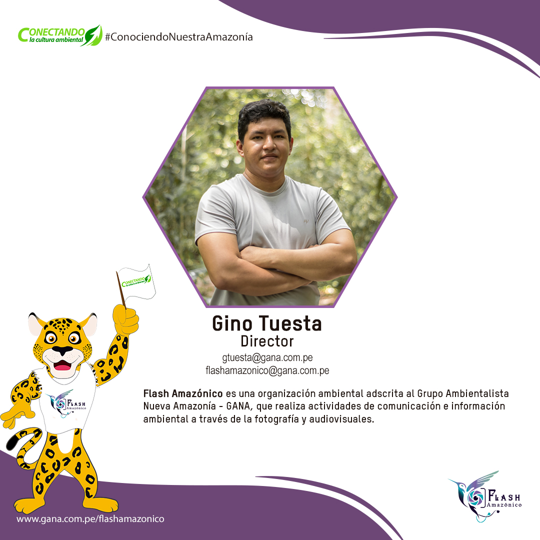 flashamazonico's tweet photo. ¡Retomamos las actividades de Flash Amazónico!
✅Presentamos a nuestro director Gino Tuesta. Biólogo de profesión y con experiencia en fotografía de naturaleza y registro audiovisual de biodiversidad amazónica. 📷📷📷📷📷
#ConectandoLaCulturaAmbiental
#ConociendoNuestraAmazonía https://t.co/huHtiRhJ7X